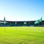 Campo de futebol no Estádio Serra Dourada, com bandeiras do Goiás, representando renovação para o Goianão 2026.