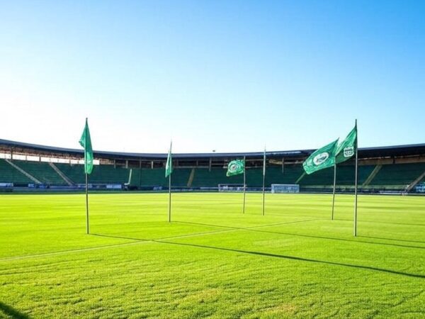 Campo de futebol no Estádio Serra Dourada, com bandeiras do Goiás, representando renovação para o Goianão 2026.