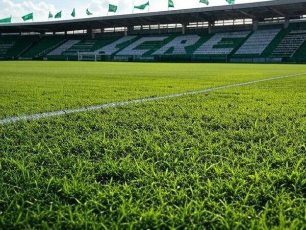 Campo de futebol do Goiás Esporte Clube em Goiânia, com bandeiras verde e branca, simbolizando contratação de jogador.