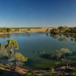 Lago Corumbá em Goiás com cardume de piranhas na água, representando ataque no local.