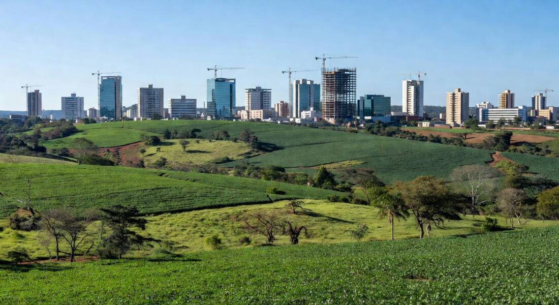 O avanço foi puxado pela produção de grãos, com destaque para o milho, que cresceu 22,4% (Foto: Tony Oliveira/CNA)