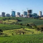 O avanço foi puxado pela produção de grãos, com destaque para o milho, que cresceu 22,4% (Foto: Tony Oliveira/CNA)