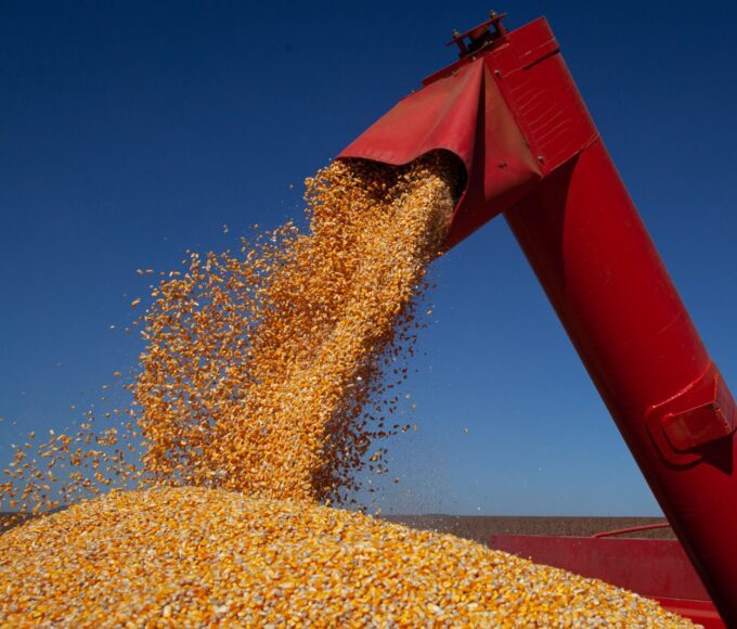 O avanço foi puxado pela produção de grãos, com destaque para o milho, que cresceu 22,4% (Foto: Tony Oliveira/CNA)