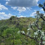 Nova data vale para todos os 14 municípios do nordeste goiano que fazem parte do programa (Foto: Semad)