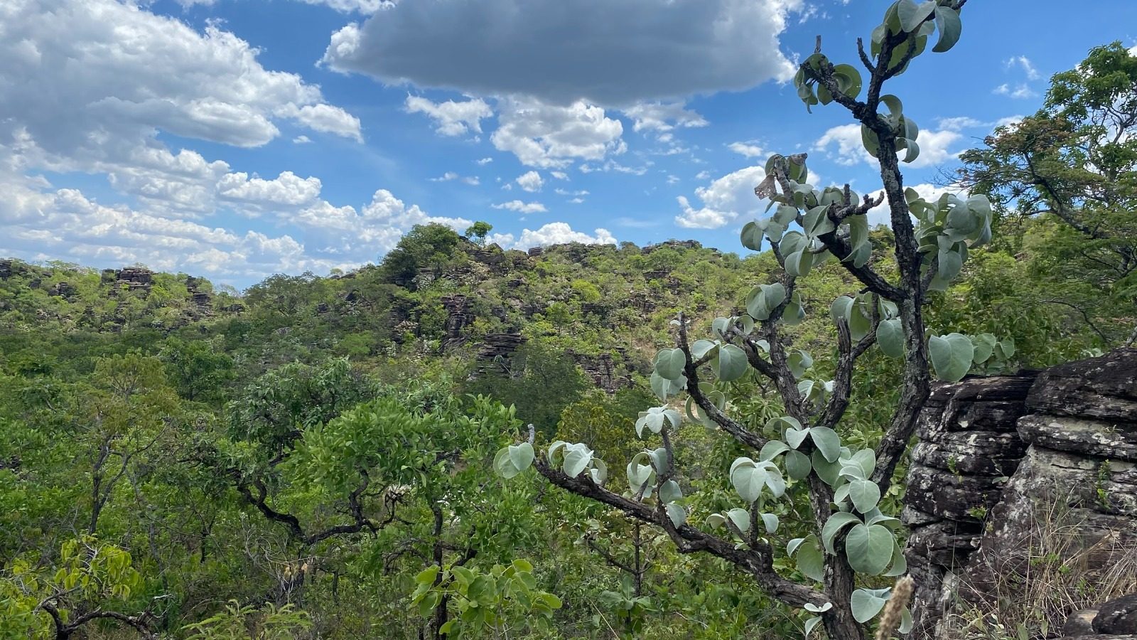 Nova data vale para todos os 14 municípios do nordeste goiano que fazem parte do programa (Foto: Semad)