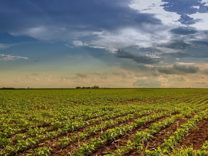 Goiás em Dados integra indicadores demográficos, econômicos, sociais e territoriais do Estado (Fotos: IMB)