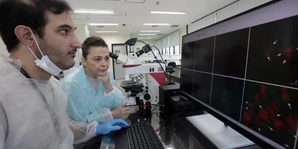 © Paulo Pinto/Agência Brasil