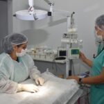 Encaminhamento dos pets para adoção responsável ajuda a garantir um lar afetuoso e seguro para os animais – Foto: Jhonney Macena
