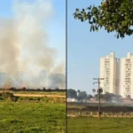 Fogo na área do Jóquei Clube de Goiás afetou estruturas, aponta diretoria - Fotomontagem: reprodução / redes sociais