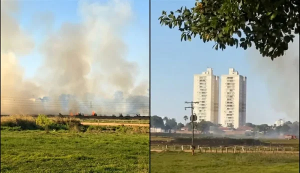 Fogo na área do Jóquei Clube de Goiás afetou estruturas, aponta diretoria - Fotomontagem: reprodução / redes sociais
